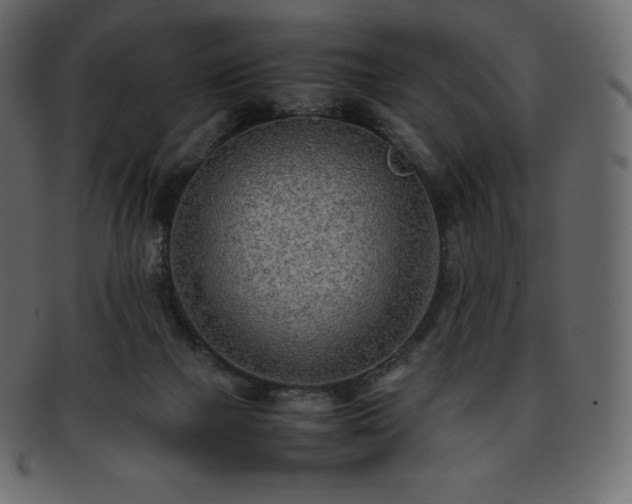 X0000093370073200710191124