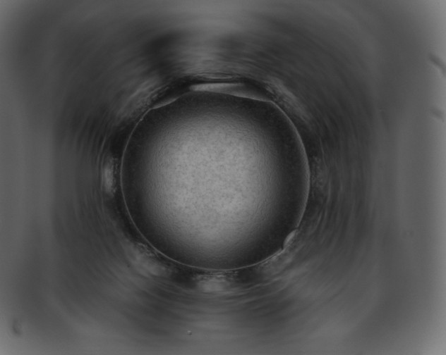 X0000093370074200710191124