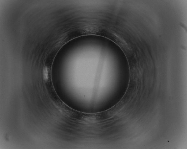 X0000093370075200710191124