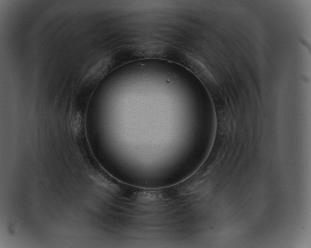 X0000093370077200710191124