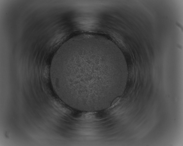 X0000093370078200710191124