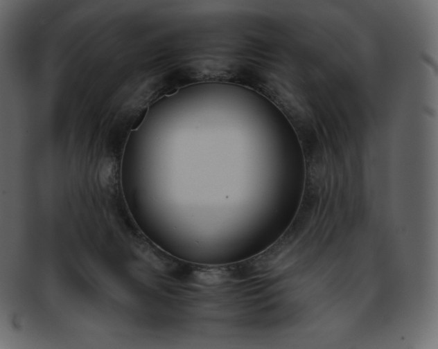 X0000093370079200710191124