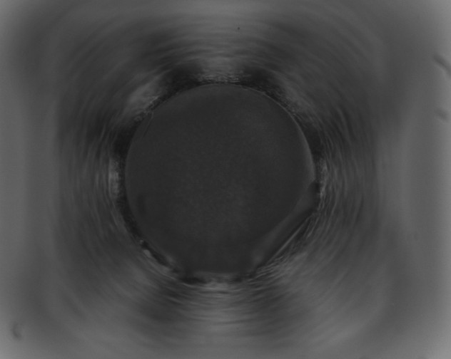 X0000093370080200710191124