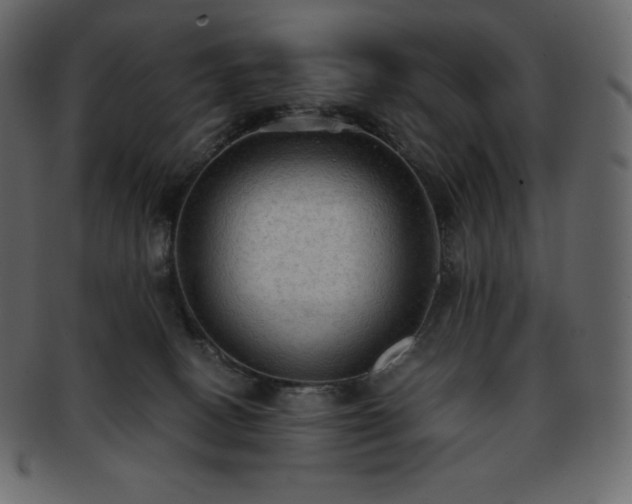 X0000093370082200710191124