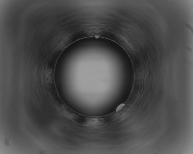 X0000093370083200710191124