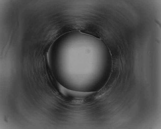 X0000093370084200710191124