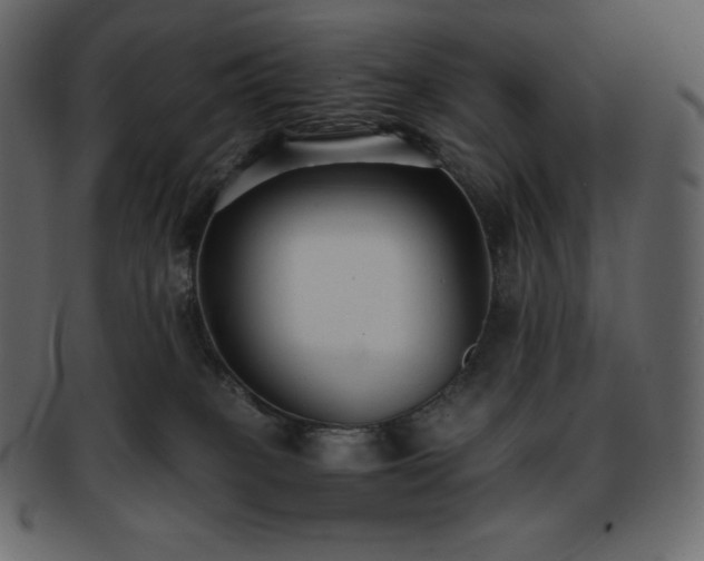 X0000093370085200710191124