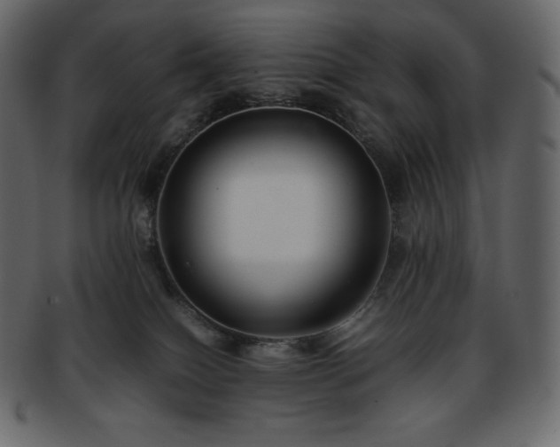 X0000093370086200710191124