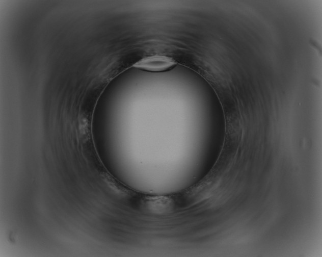 X0000093370087200710191124