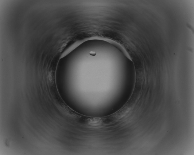 X0000093370088200710191124