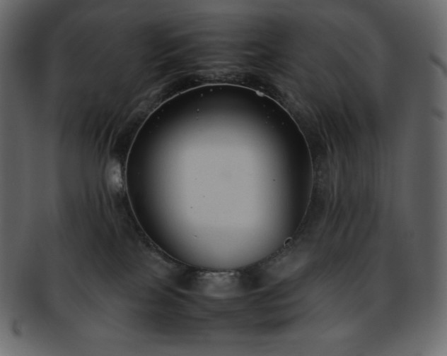 X0000093370089200710191124