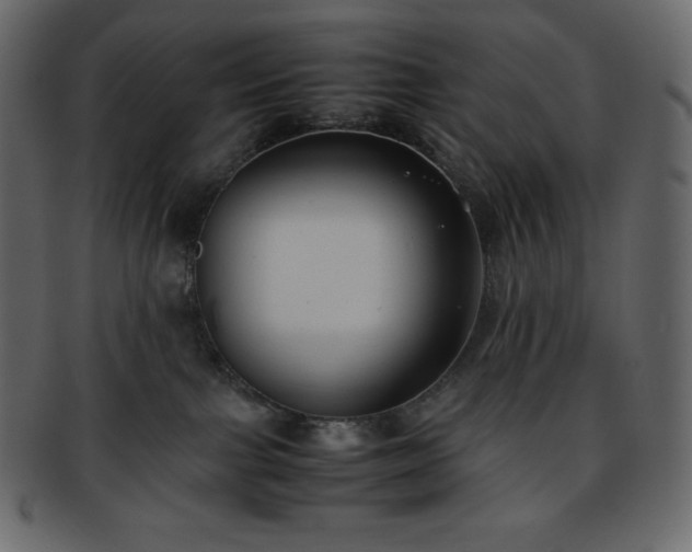 X0000093370091200710191124