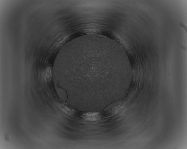 X0000093370093200710191124