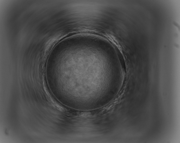 X0000093370097200710191123