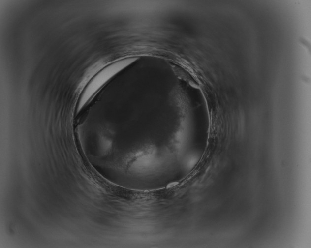 X0000093370099200710191123