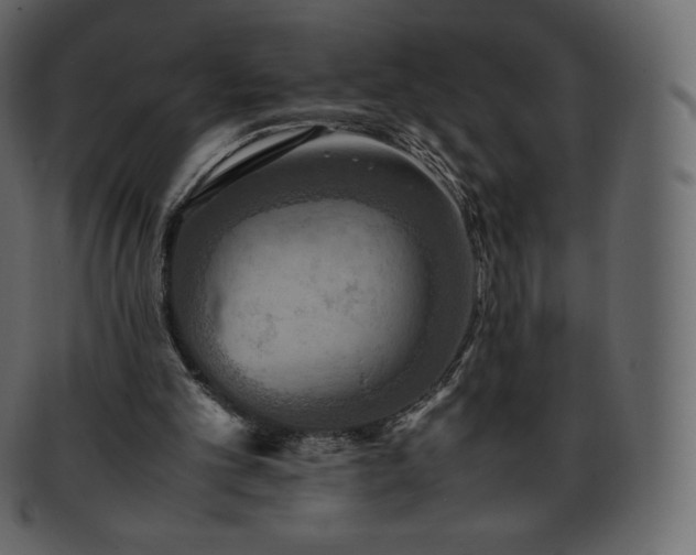 X0000093370101200710191123