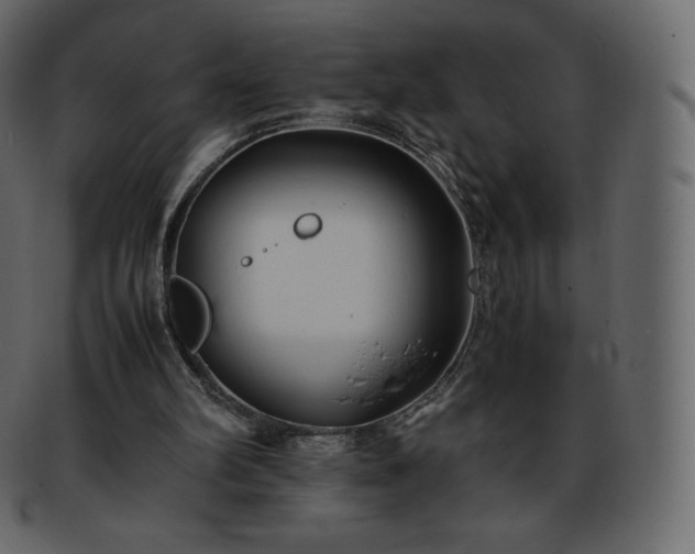 X0000093370102200710191123