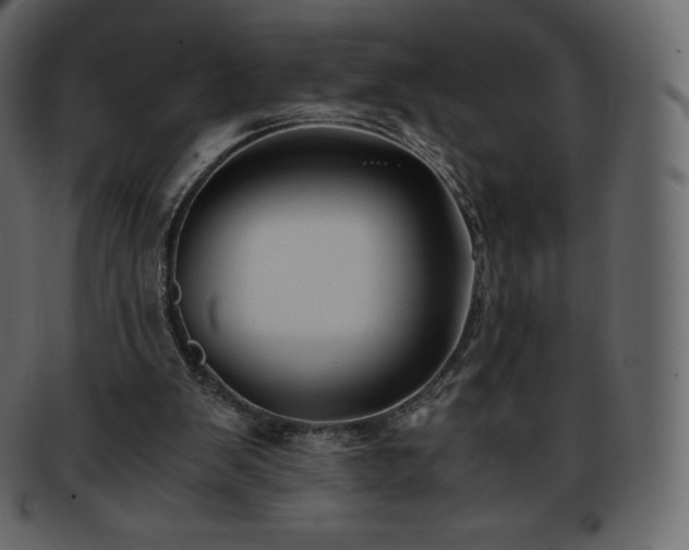 X0000093370103200710191123