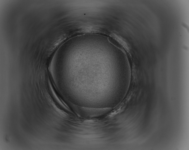 X0000093370105200710191123