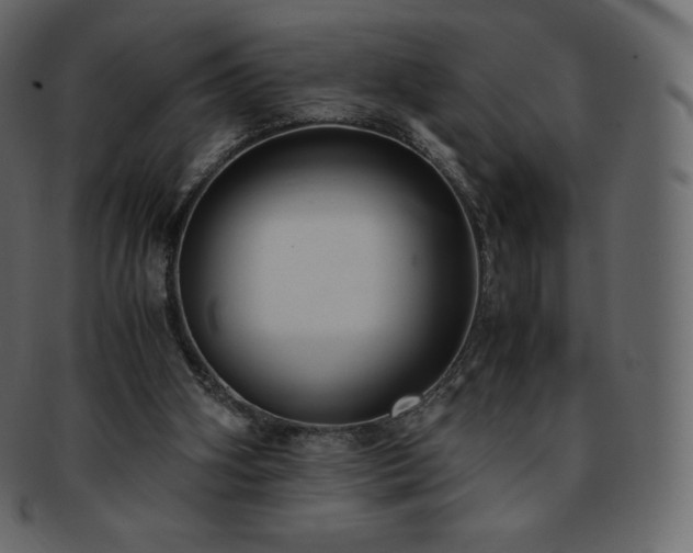 X0000093370106200710191123