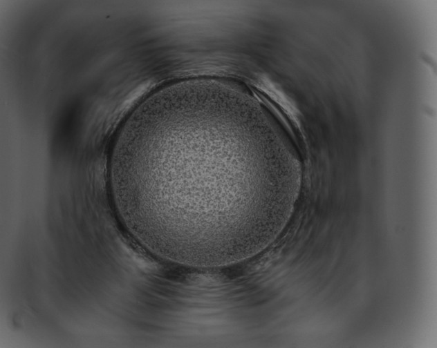 X0000093370107200710191123