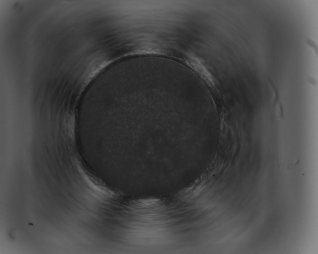 X0000093370108200710191123