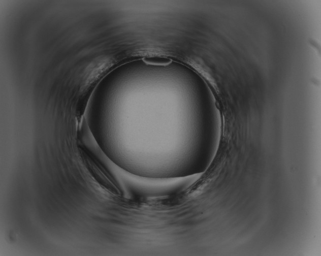 X0000093370109200710191123