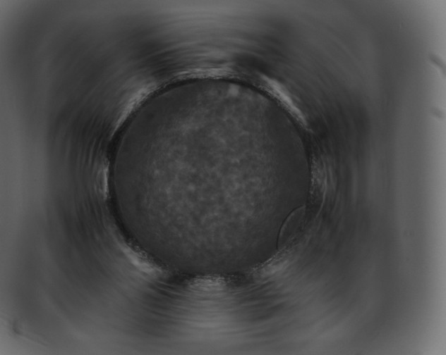 X0000093370110200710191123