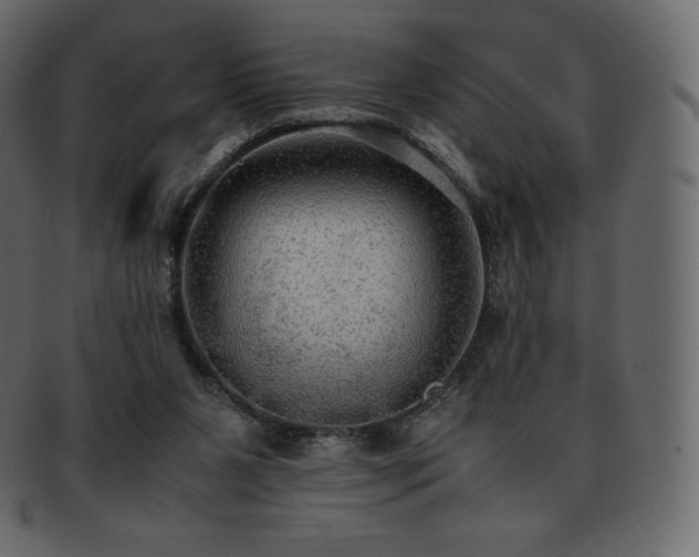 X0000093370111200710191123