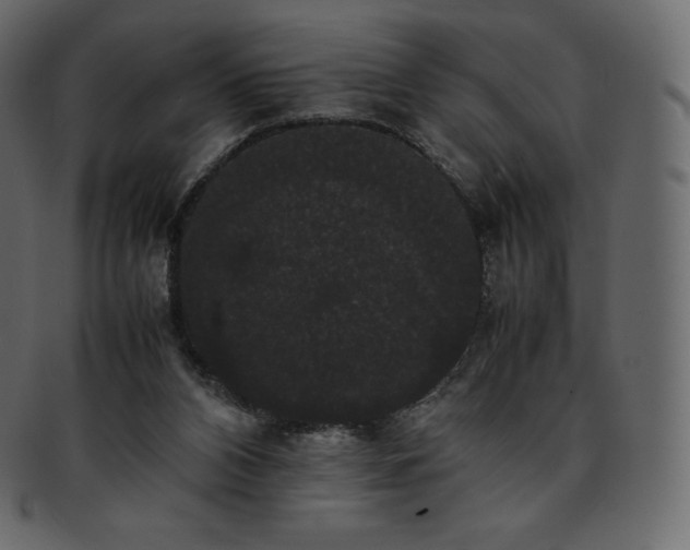 X0000093370112200710191123