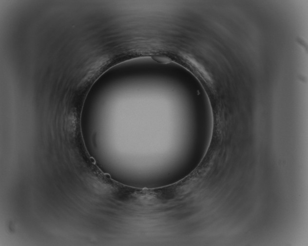 X0000093370113200710191123