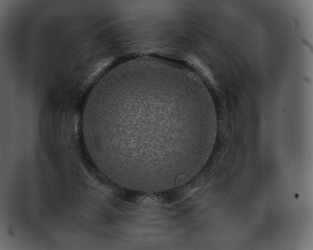 X0000093370115200710191123