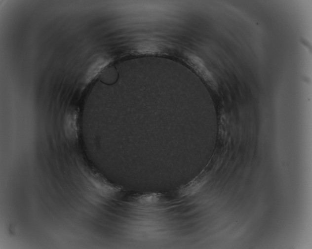 X0000093370116200710191123