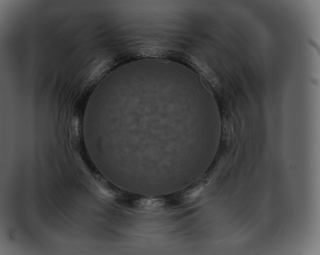 X0000093370117200710191123