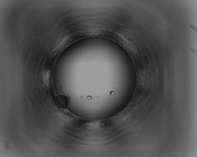 X0000093370118200710191123