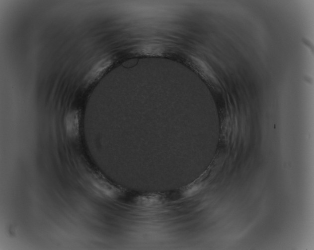 X0000093370120200710191123