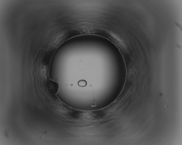 X0000093370121200710191123