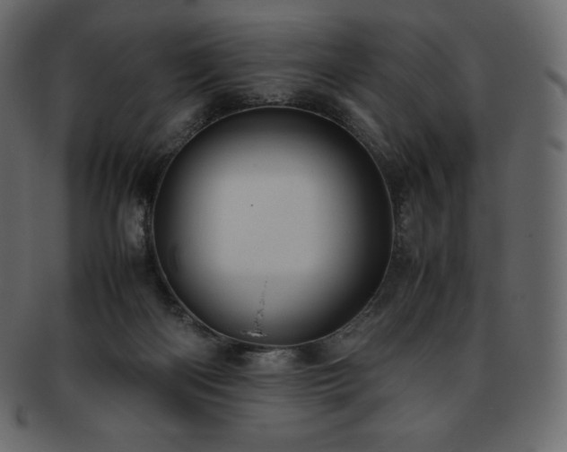 X0000093370122200710191123