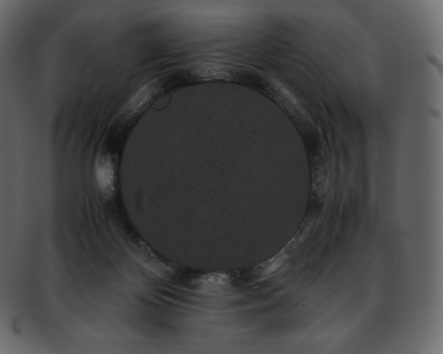 X0000093370124200710191123