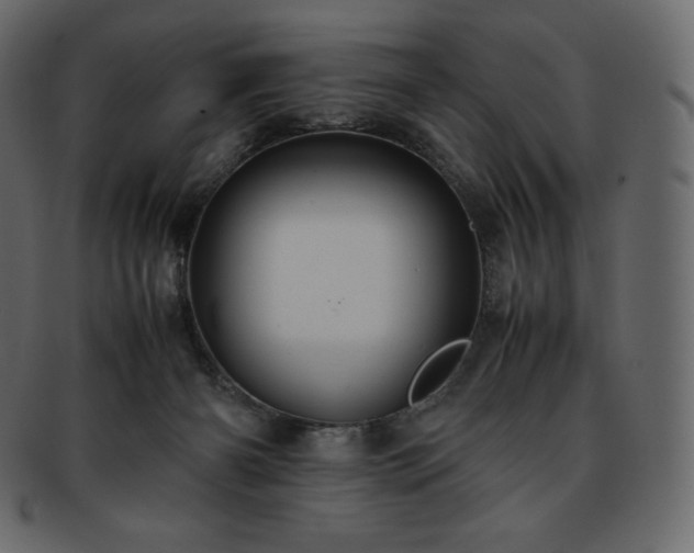 X0000093370126200710191123