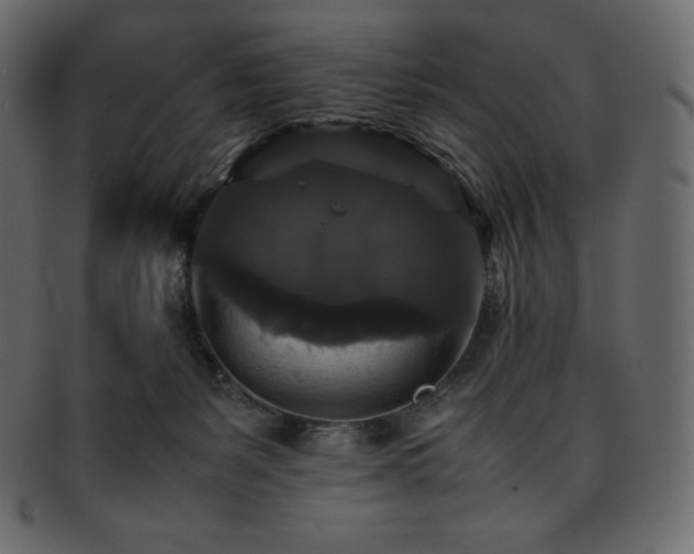 X0000093370127200710191123