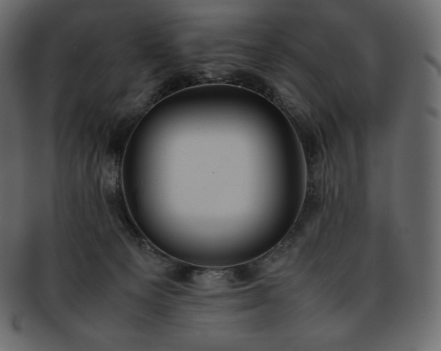 X0000093370129200710191123