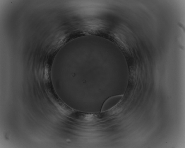 X0000093370130200710191123