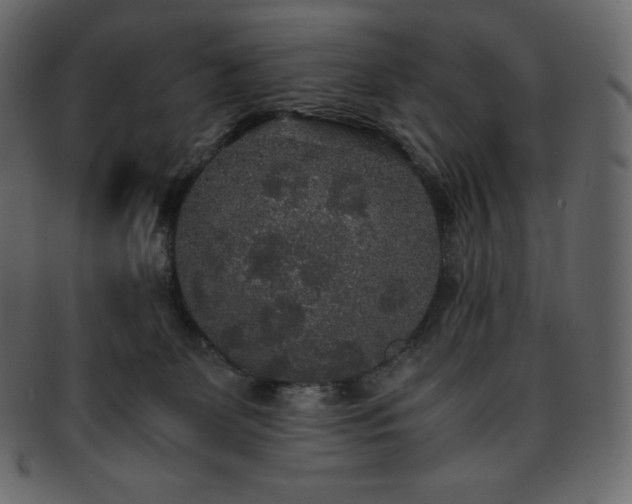 X0000093370131200710191123