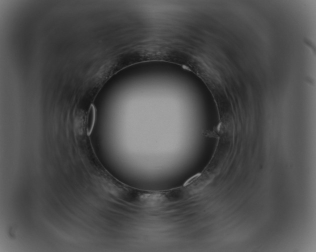 X0000093370133200710191123