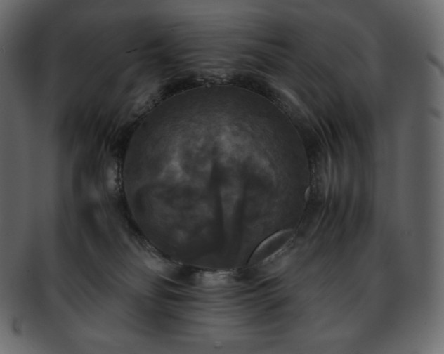 X0000093370134200710191123