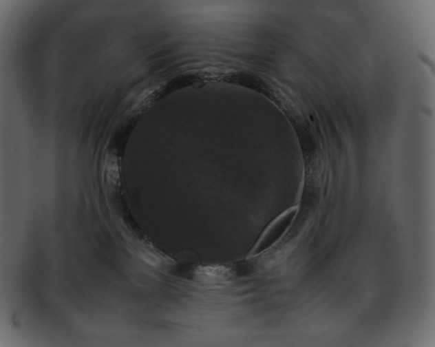 X0000093370137200710191123