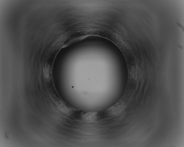 X0000093370138200710191123