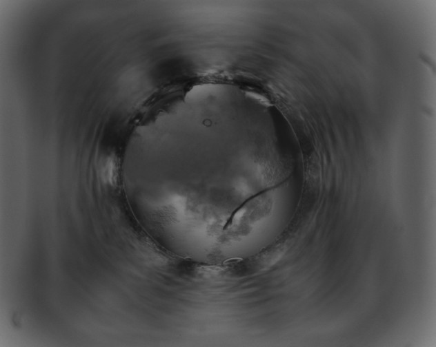 X0000093370139200710191123