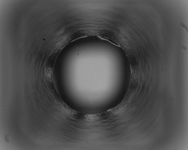 X0000093370141200710191123